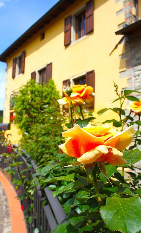 Villa "Corte De' Baldi" Ortignano Raggiolo 外观 照片